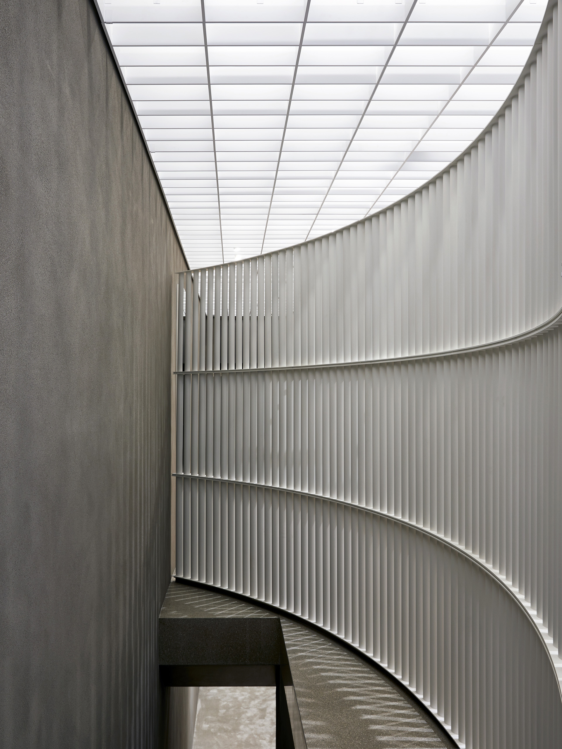 Paul Riddle Photographer &middot Self-Portrait Albermarle St London UK